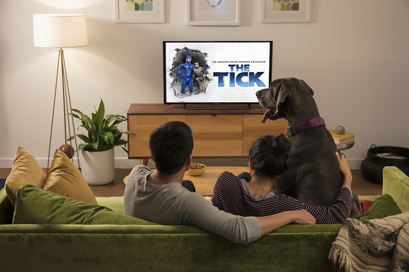 Fire TV Stick mit Echo steuern. wieder möglich.